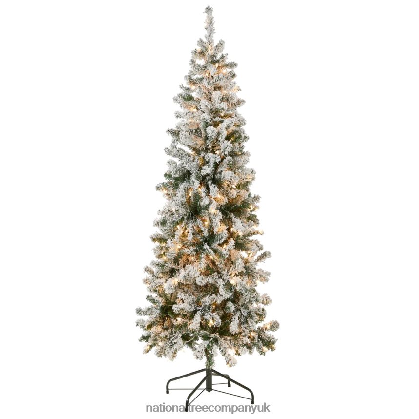 Trees | National Tree Company First Traditions Pre-Lit Acacia Flocked Tree Medium Christmas Tree Clear Incandescent Lights Plug In 6 ft F2L4F41